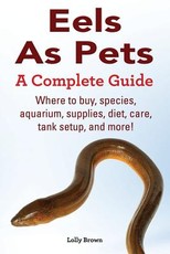 Eels As Pets