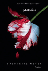 Jaunatis. 2-oji knyga