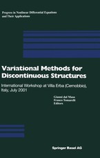 Variational Methods for Discontinuous Structures