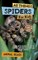All Things Spiders For Kids