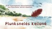 Plunksnelės kelionė