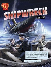 Shipwreck at Sea!