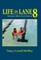 Life in Lane 8