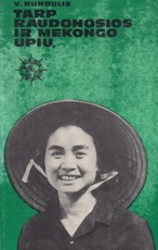 Tarp Raudonosios ir Mekongo upių