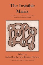 The Invisible Matrix