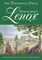 Hawthorne's Lenox