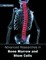 Advanced Researches in Bone Marrow and Stem Cells