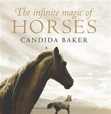 Infinite Magic of Horses
