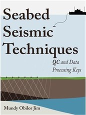Seabed Seismic Techniques