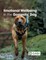 Emotional Wellbeing in the Domestic Dog