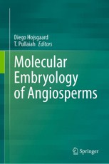 Molecular Embryology of Angiosperms