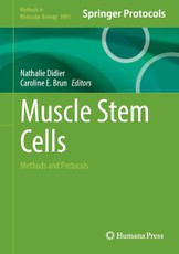 Muscle Stem Cells