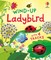 Wind-up Ladybird