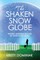 The Shaken Snow Globe