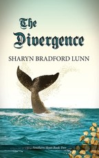 The Divergence