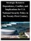 Strategic Resource Dependence, Conflict, and Implications for U.S. National Security Policy in the Twenty-First Century