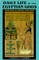 Daily Life of the Egyptian Gods