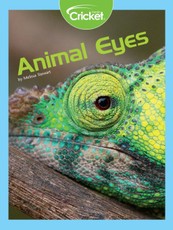 Animal Eyes