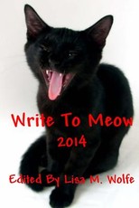 Write To Meow