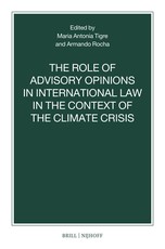 The Role of Advisory Opinions in International Law in the Context of the Climate Crisis