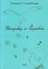 Berniukas ir žuvėdros Berniukas ir žuvėdros