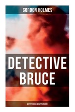 Detective Bruce: A Mysterious Disappearance