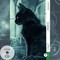 Poe, E: Black Cat / Der schwarze Kater (Buch + Audio-CD) - F