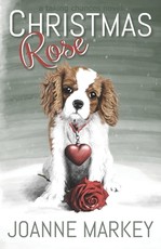 Christmas Rose