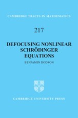 Defocusing Nonlinear Schrodinger Equations