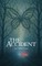 The Accident
