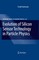Evolution of Silicon Sensor Technology in Particle Physics