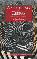 A Crossing of Zebras