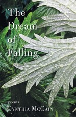 The Dream of Falling