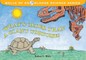 What's Older Than a Giant Tortoise?