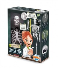 Konstruktorius „Žmogaus skeletas 45 cm”