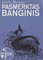 Pasmerktas banginis