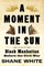 A Moment in the Sun