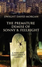 The Premature Demise of Sonny B. Feelright