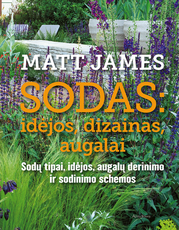 Sodas: idėjos, dizainas, augalai