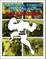 Marvel Comics in the 1970s: Expanded Edition