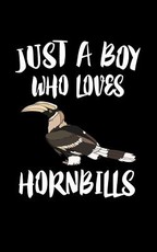Just A Boy Who Loves Hornbills