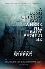 A Long Curving Scar Where The Heart Should Be