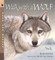 Walk with a Wolf