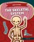 The Skeletal System