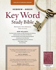 Hebrew-Greek Key Word Study Bible-ESV