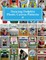 Dancing Dolphin Plastic Canvas Patterns 6