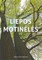 Liepos motinėlės