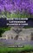 How to Grow Lavender Flower and Care