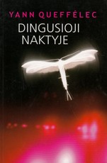Dingusioji naktyje