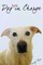 Dog Not in Charge